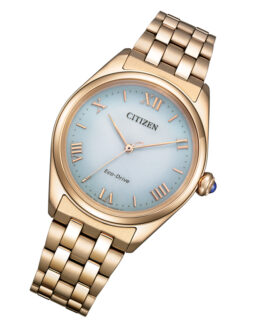 Reloj Citizen EM1143-81X Eco-Drive Lady