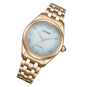 Reloj Citizen EM1143-81X Eco-Drive Lady